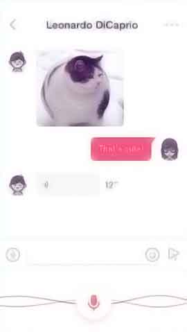 免费cc攻击测试软件程序维护界面